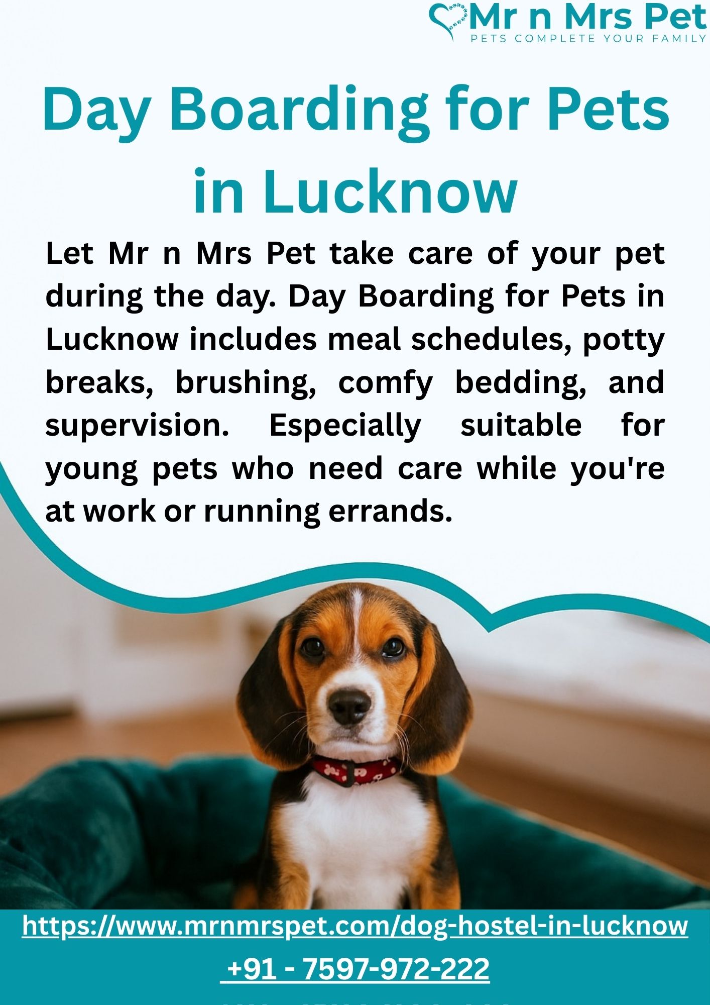 Day Boarding for Pets in Lucknow